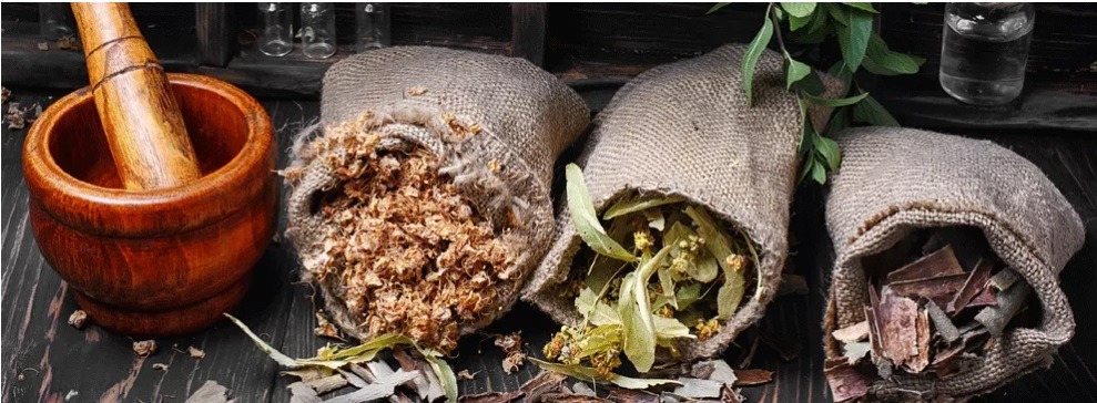 Carine Naturopathe Libreville - Nos plantes &amp; nos herbes